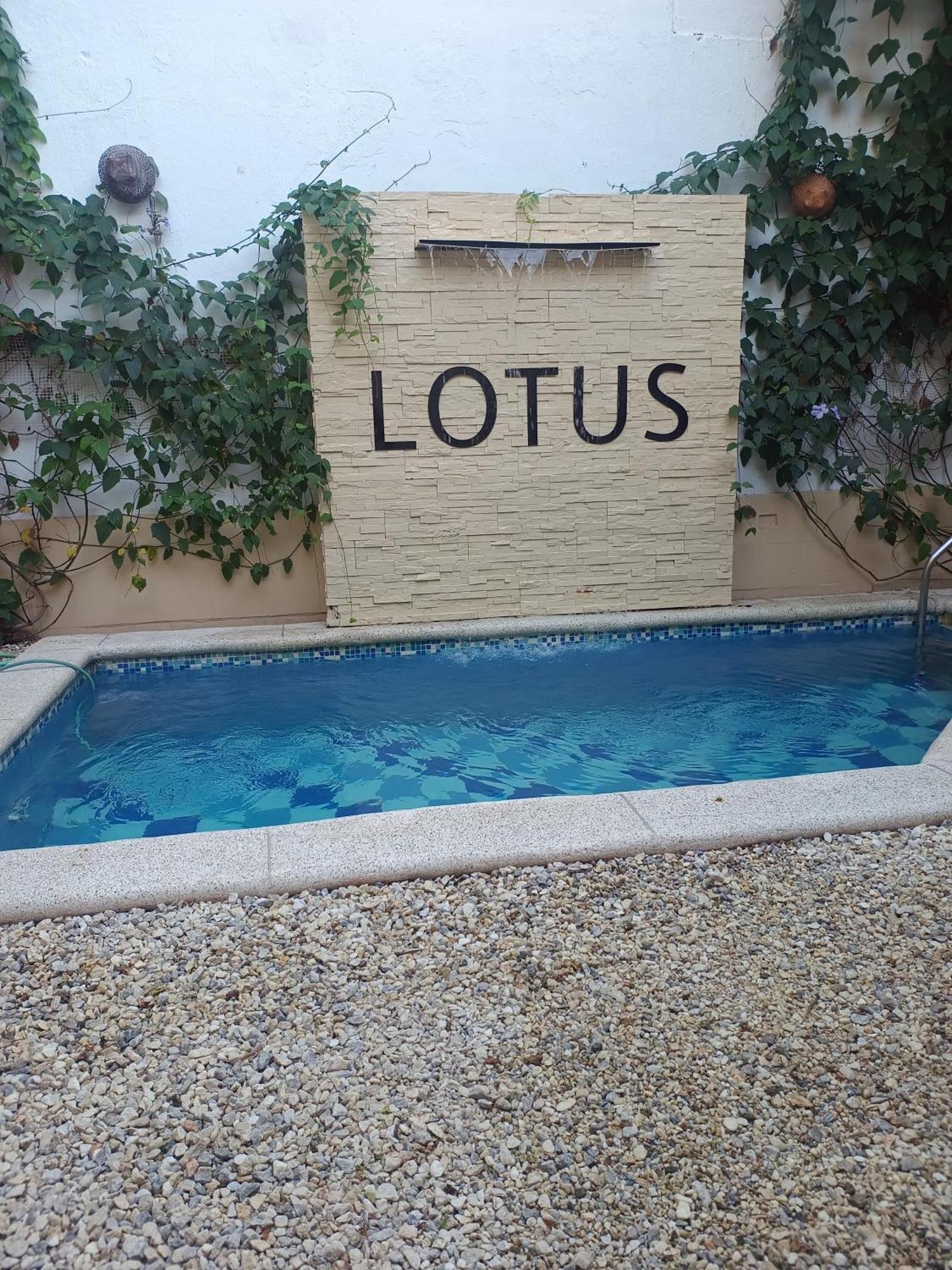 Lotus Central Hotel サンタ・マルタ エクステリア 写真
