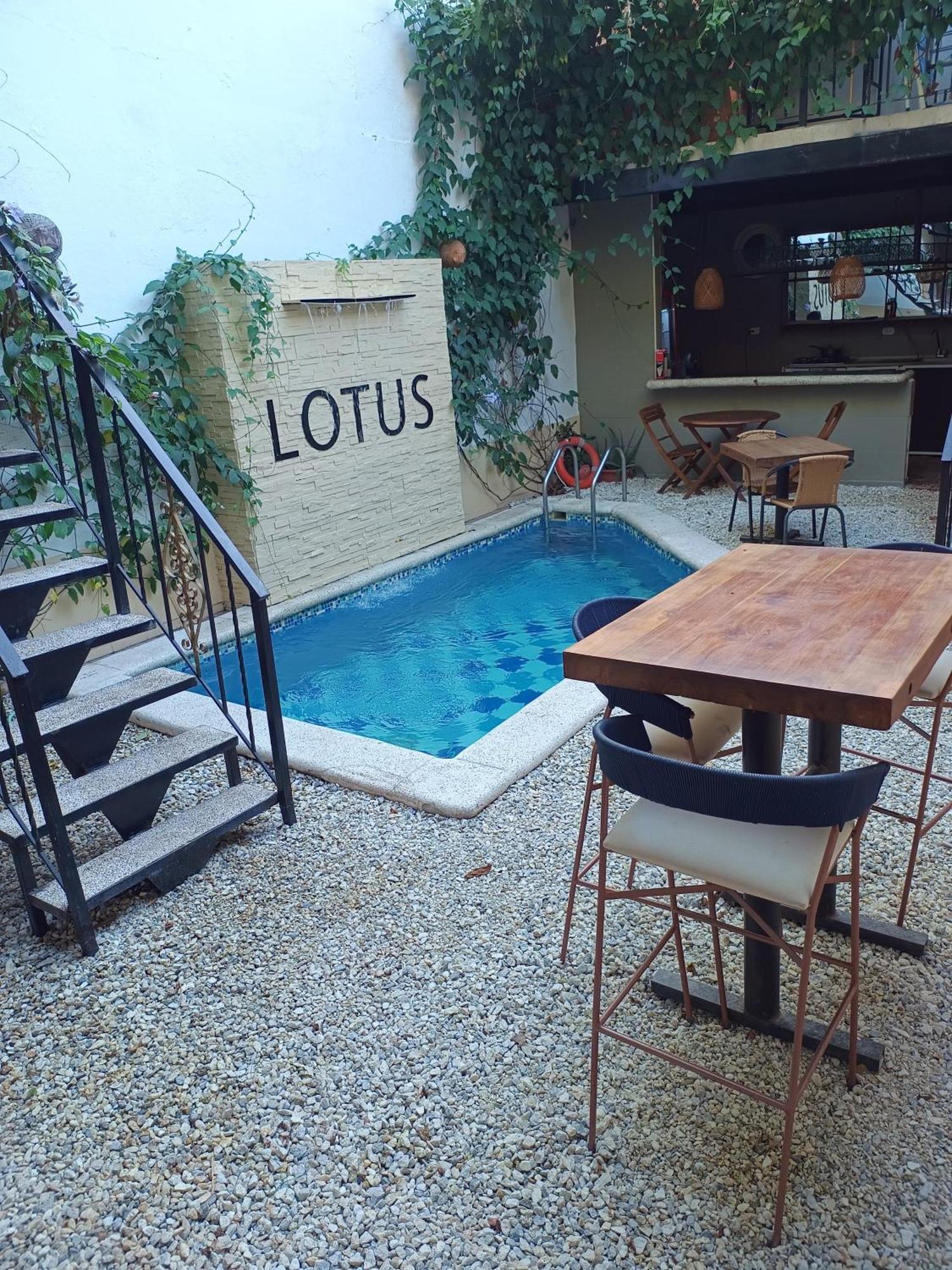 Lotus Central Hotel サンタ・マルタ エクステリア 写真